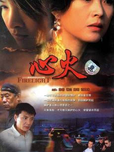 心火（2006年苏岩、谢兰主演电视剧）