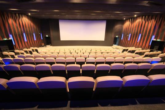 电影院（放映电影的公共场所）