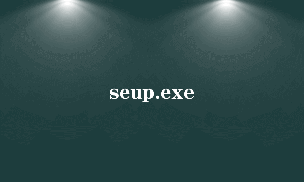 seup.exe
