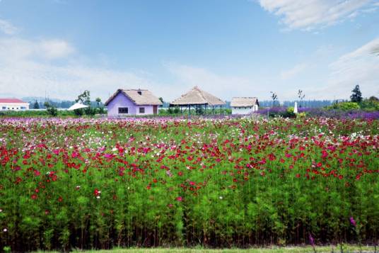 寻梦园香草农场
