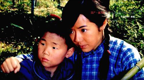 复仇的子弹（2007年郑晓龙执导的战争类电影）