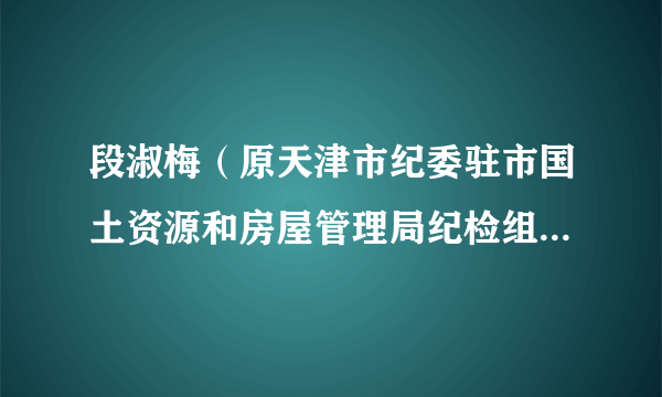 段淑梅（原天津市纪委驻市国土资源和房屋管理局纪检组副组长）