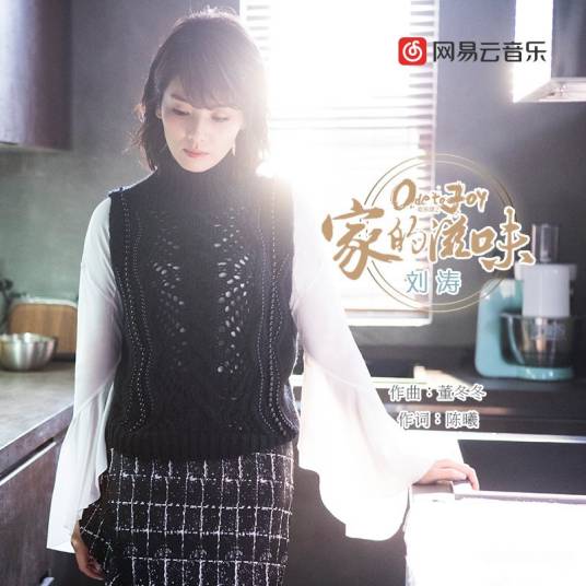 家的滋味（电视剧《欢乐颂2》插曲）