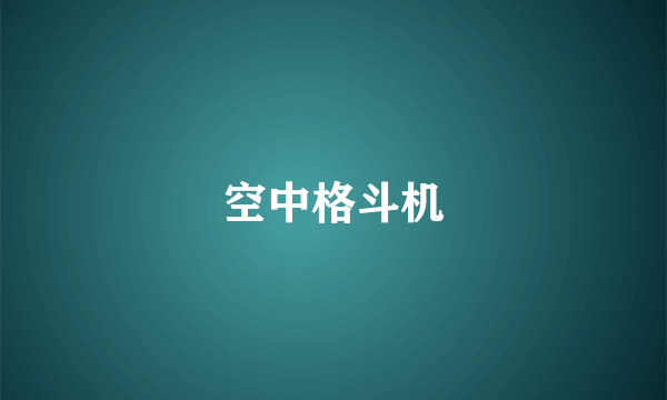 空中格斗机