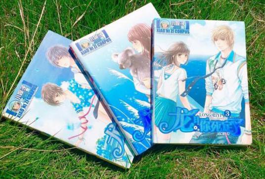 龙日一·你死定了（2006年北岳文艺出版社出版的图书）