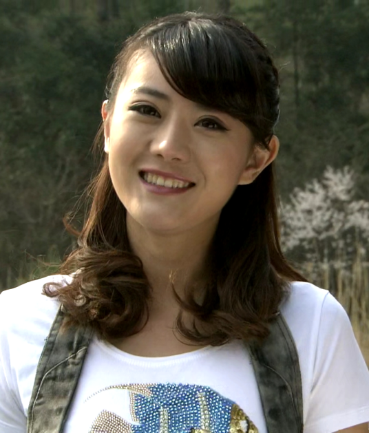 蜂鸟（电视剧《特种兵之火凤凰》人物）