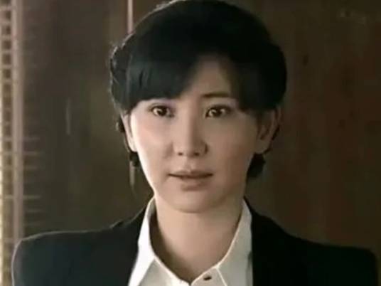 张海燕（电视剧《特种兵之火凤凰》中的女性角色）