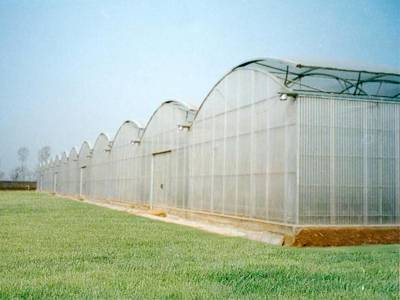 钢管温室大棚