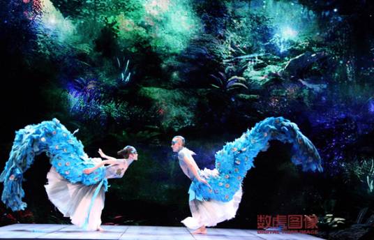 雀之恋（著名舞蹈家杨丽萍梦幻演绎的舞蹈）