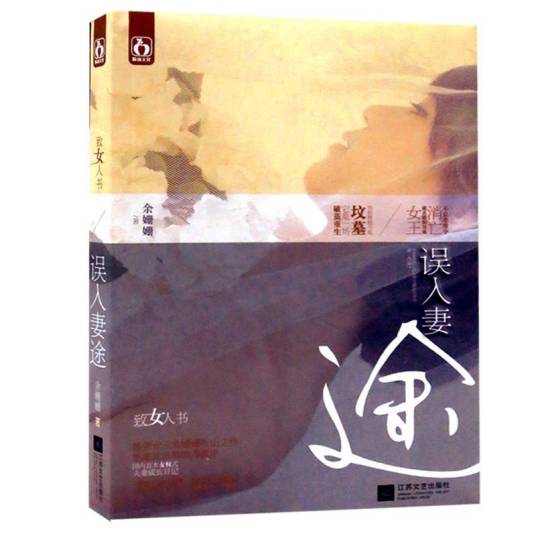 误入妻途（2012年江苏文艺出版社出版的图书）