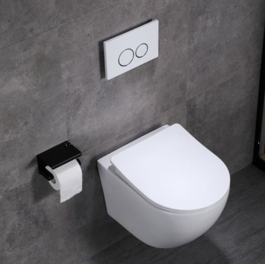 入墙式抽水马桶