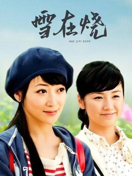 雪在烧（2007年澄丰、林龙执导的悲情伦理电视剧）