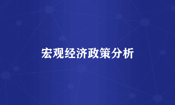 宏观经济政策分析