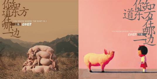 你知道东方在哪一边（2008年左小祖咒发行的音乐专辑）