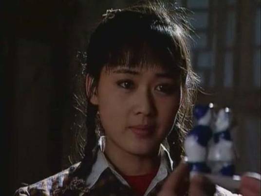 趟过男人河的女人（1995年李琳、张兆北等主演电视剧）