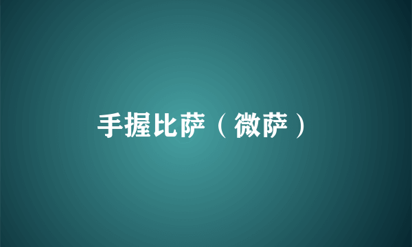 手握比萨（微萨）