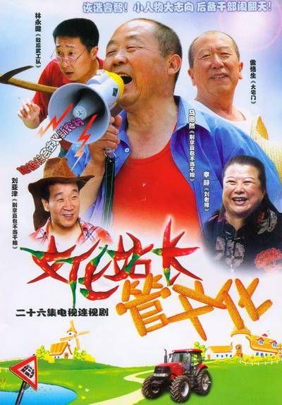 文化站长（2007年余淳执导电视剧）