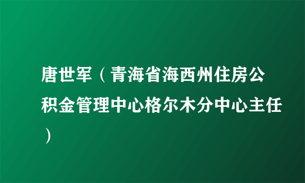 唐世军（青海省海西州住房公积金管理中心格尔木分中心主任）