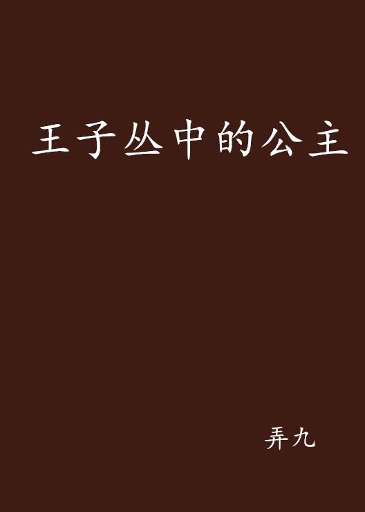 王子丛中的公主