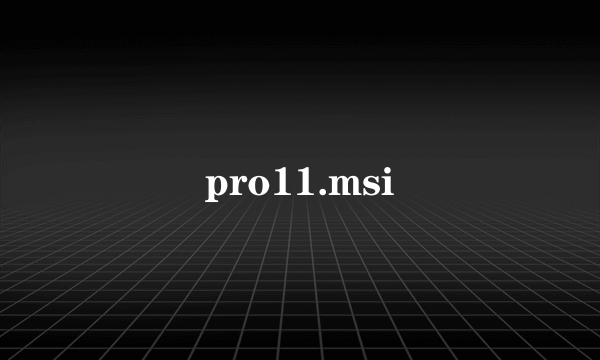 pro11.msi