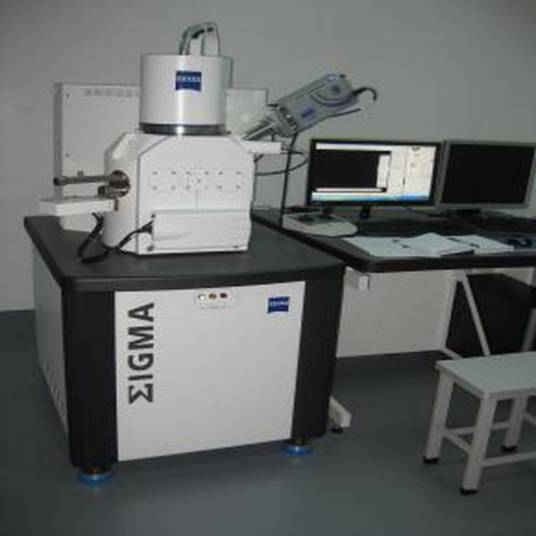 ZEISS热场发射扫描电子显微镜