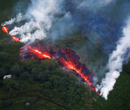 2019年澳大利亚林火