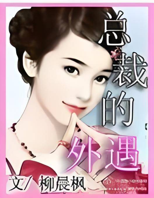 总裁的外遇（柳晨枫创作的言情小说）