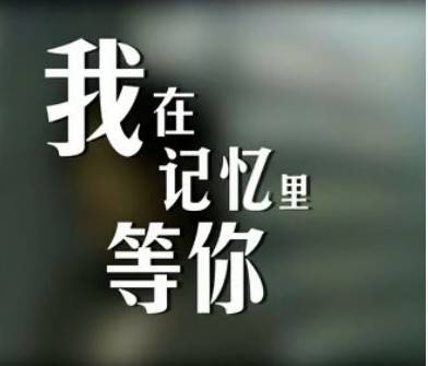 我在记忆里等你（2012年牛超执导的爱情微电影）