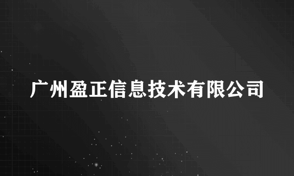 广州盈正信息技术有限公司