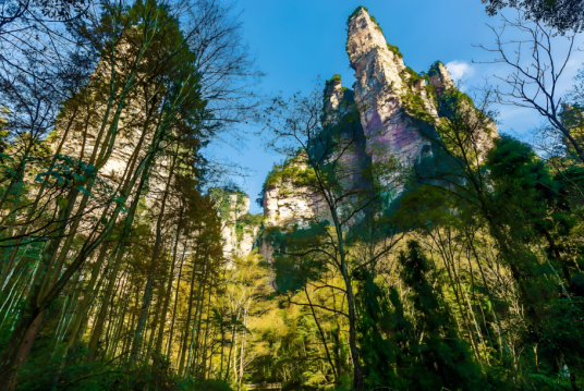 张家界大峡谷景区