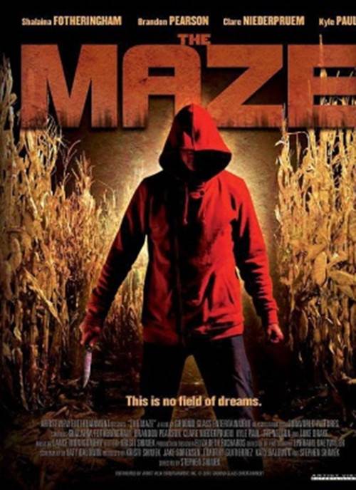 夜迷宫（2010年美国电影）