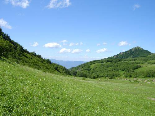 白草畔森林公园