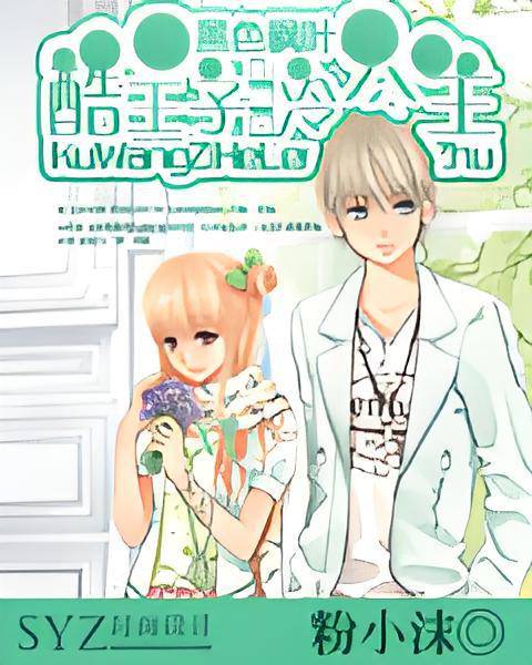 黑色枫叶：酷王子and冷公主