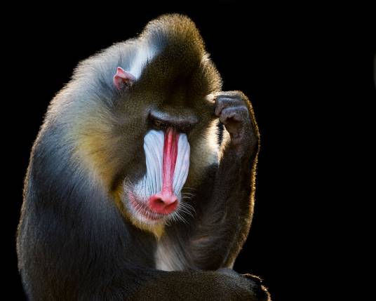 山魈（中国神话传说中的鬼怪）