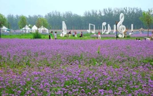 广新农业生态园