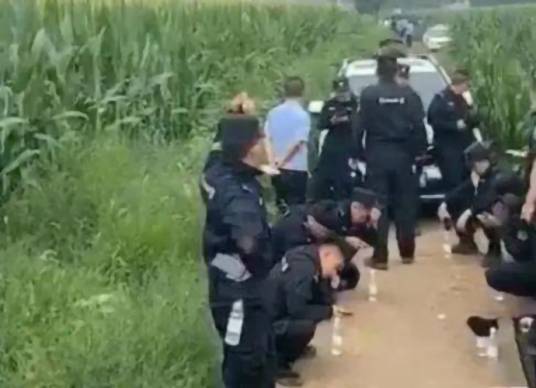 8·4任丘绑架杀人案