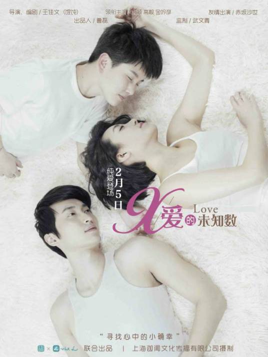 爱的未知数（2015年王佳文执导的微电影）