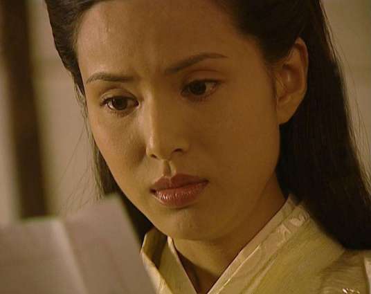 杨门女将之大破天门阵