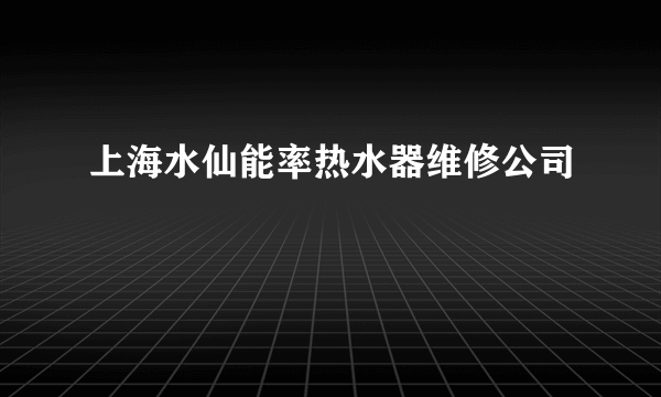 上海水仙能率热水器维修公司
