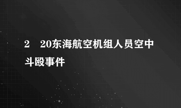 2・20东海航空机组人员空中斗殴事件