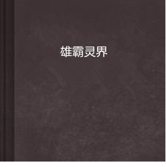雄霸灵界（网络小说）