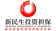 郑州新民生投资担保有限公司