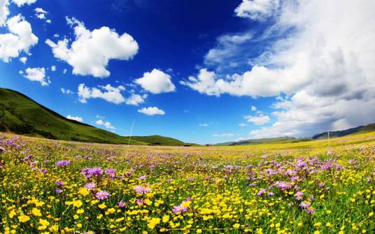 红原俄么塘花海景区