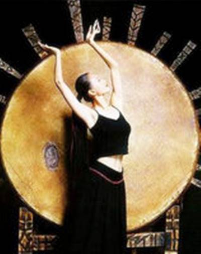 太阳鸟（1998年王学圻、杨丽萍执导的剧情电影）