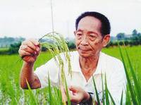 永远执著的美丽