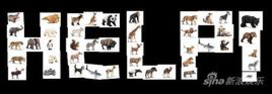 help（甲壳虫乐队创作歌曲）