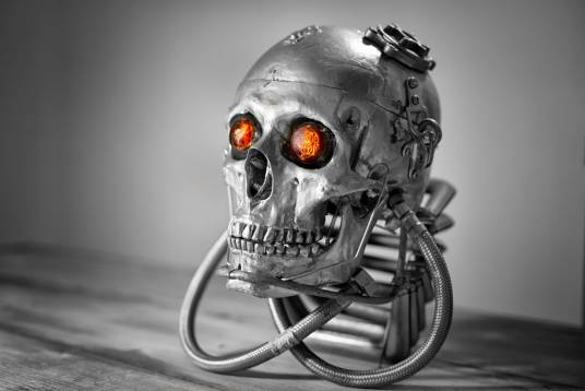 骷髅机器人（日本机器人）