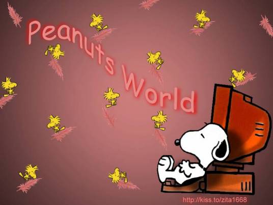 史努比（美国美妆品牌）