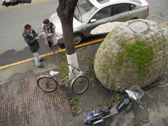 戴海飞（2010年网络红人）