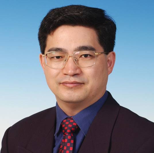 陈国华（加拿大工程院院士）